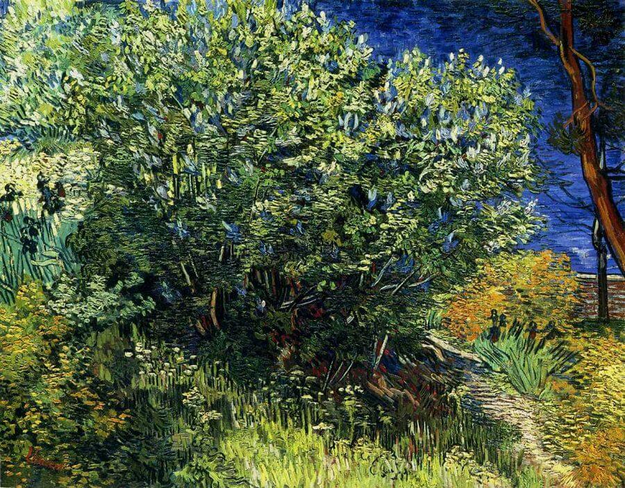 Lilac Bush, 1889 by Vincent Van Gogh