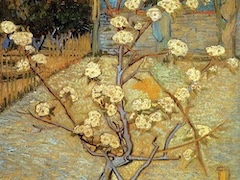 Blossoming Pear Tree by Vincent van Gogh