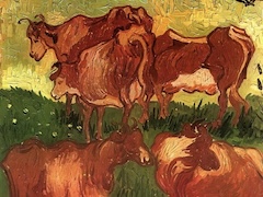 Cows by Vincent van Gogh