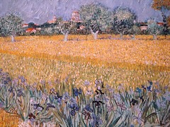 Field with Flowers near Arles by Vincent van Gogh