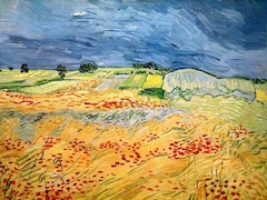 Fields with Blooming Poppies by Vincent van Gogh