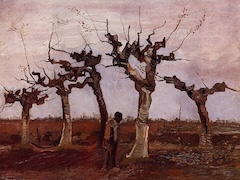 Landscape with Pollard Birches by Vincent van Gogh