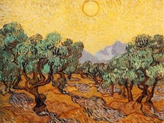 Olive Trees with Yellow Sky and Sun by Vincent van Gogh