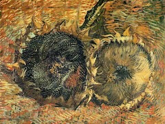 Still Life with two Sunflowers Bern by Vincent van Gogh