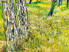 Tree Tunks in the Grass by Vincent van Gogh