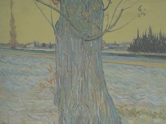 Trunk of an Old Yew Tree by Vincent van Gogh