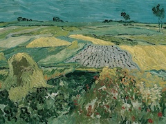 Wheat Fields near Aauvers by Vincent van Gogh