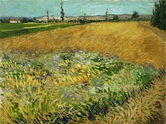 Wheatfield by Vincent van Gogh