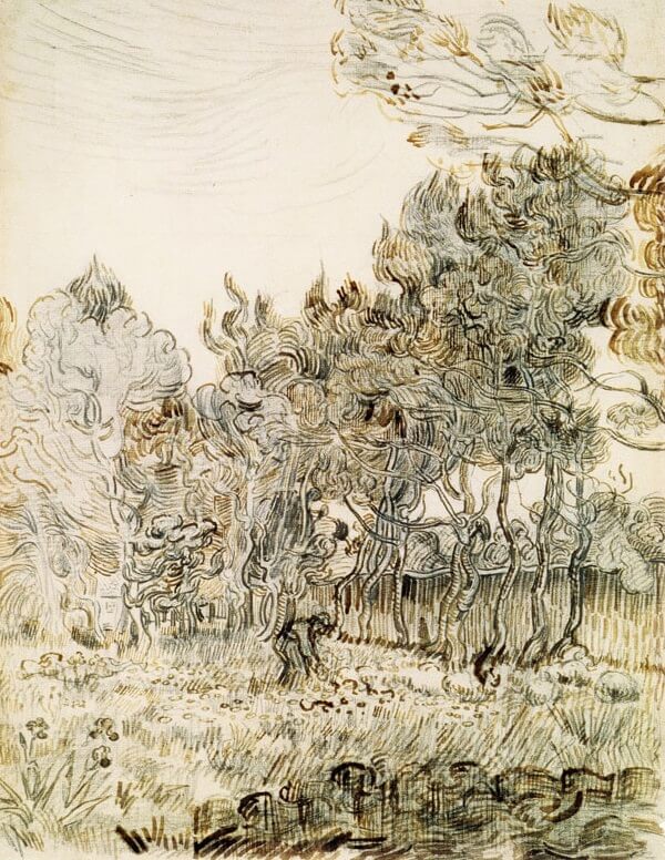 Pine Trees in the Garden of Clinic - by Vincent van Gogh