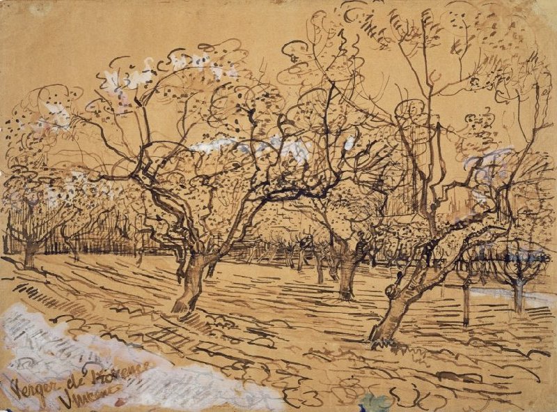 Provencal Orchard - by Vincent van Gogh