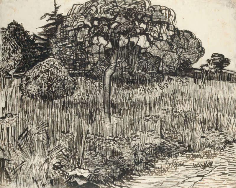 Weeping Tree in the Grass - by Vincent van Gogh