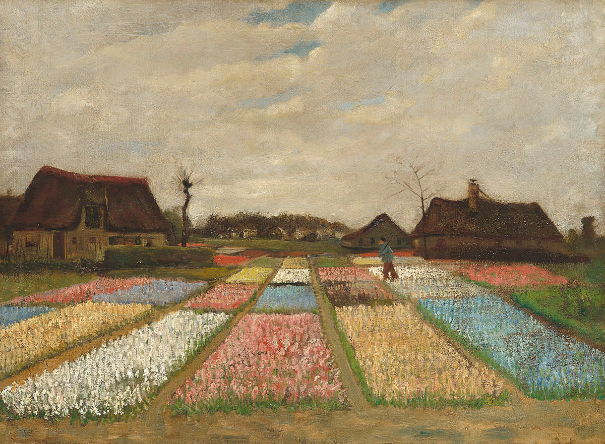 Bulb Fields - by Vincent van Gogh