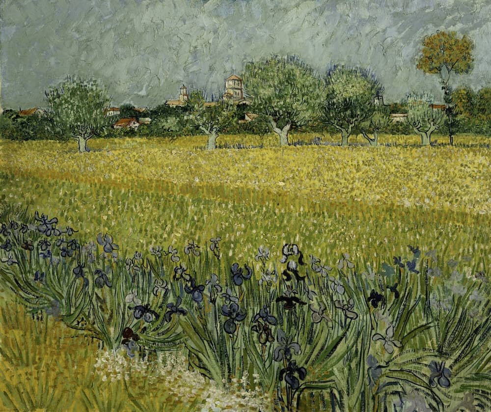 Field with Irises near Arles, 1888 by Vincent van Gogh