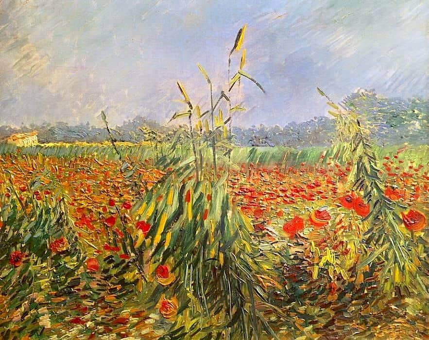 Green Corn Stalks, 1888 by Vincent Van Gogh