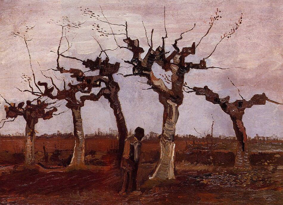 Landscape with Pollard Birches, 1884 by Vincent van Gogh