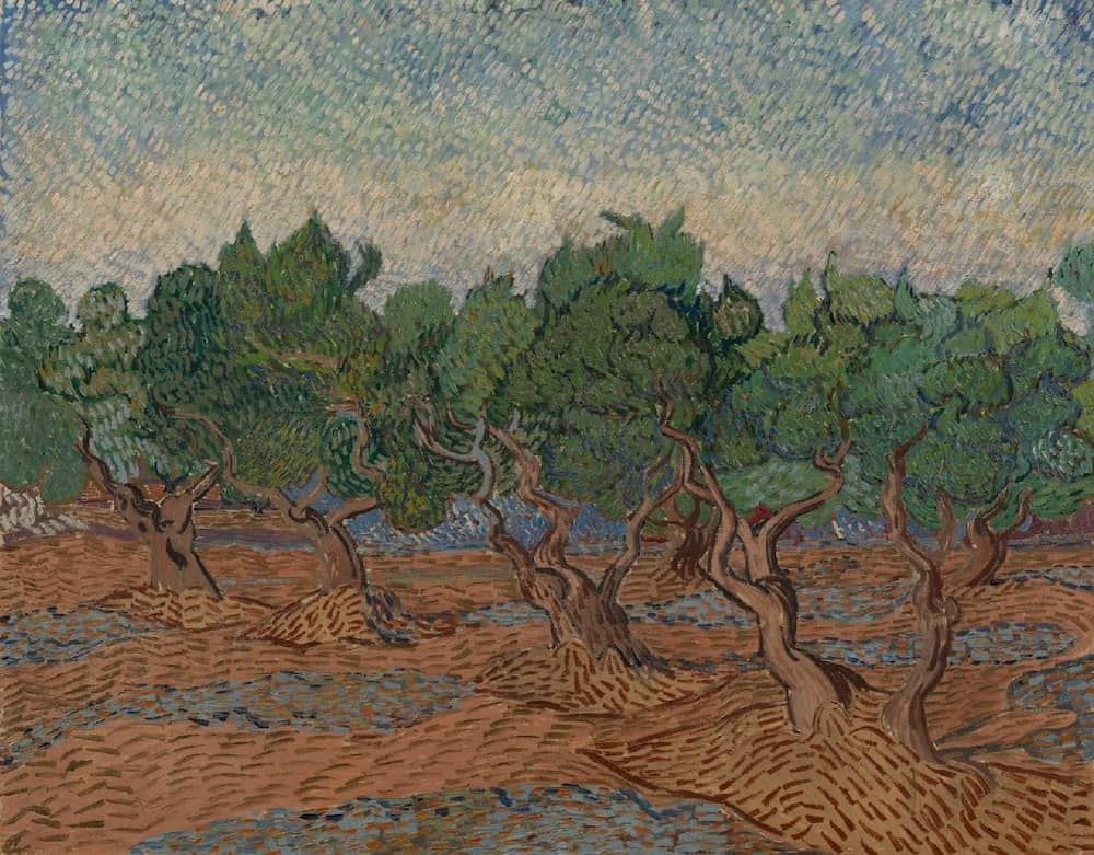 Olive Grove, 1889 by Vincent Van Gogh