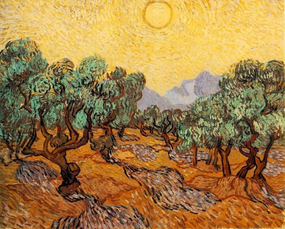 Olive Trees With Yellow Sky And Sun, 1889 by Vincent Van Gogh