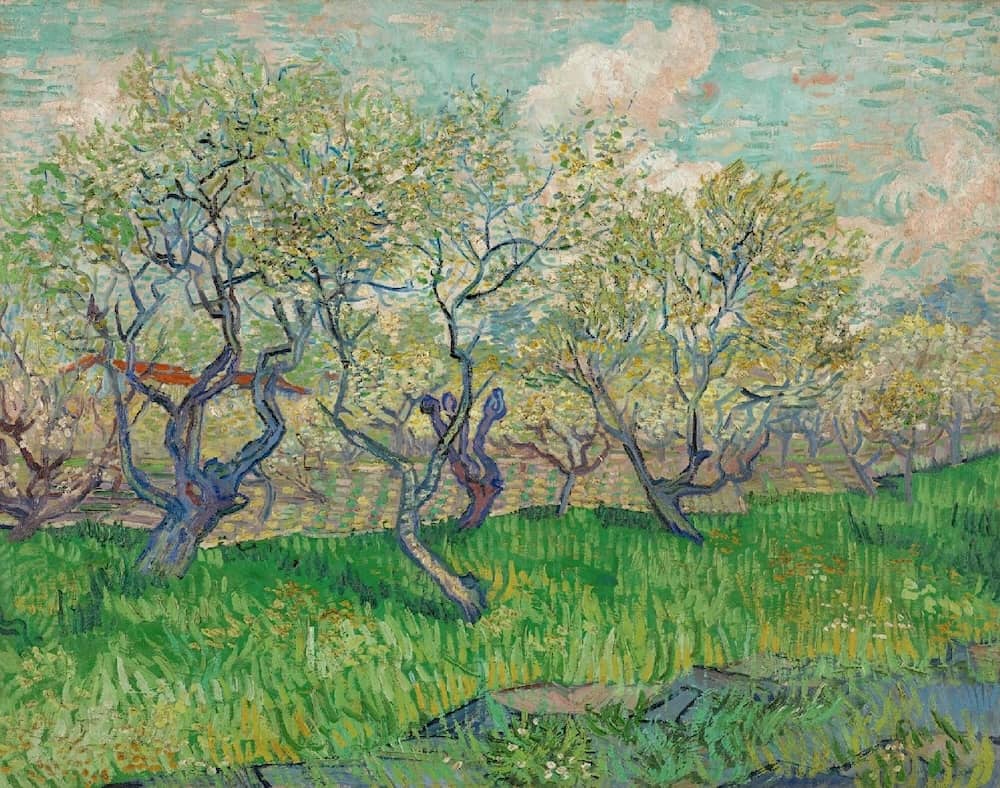 Orchard in Blossom, 1888 by Vincent Van Gogh