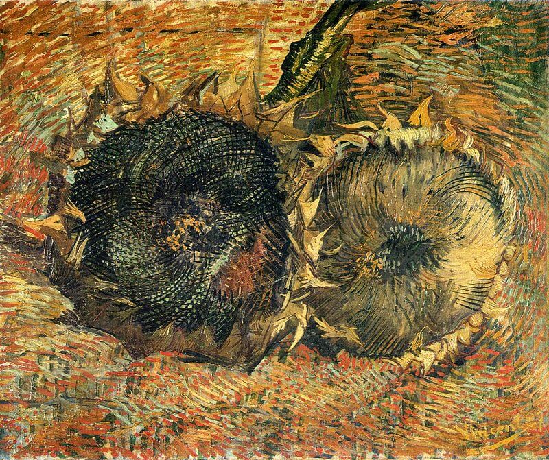 Still Life with two Sunflowers Bern by Vincent van Gogh