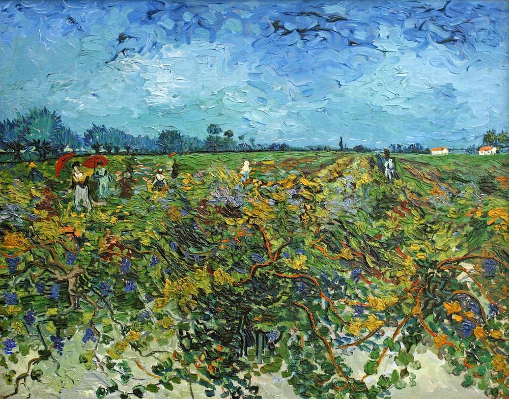 The Green Vineyard, 1888 by Vincent van Gogh