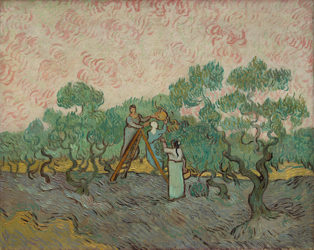 The Olive Picker, 1889 by Vincent van Gogh