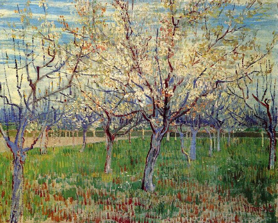 The Orchard, 1888 by Vincent vw我·an Gogh