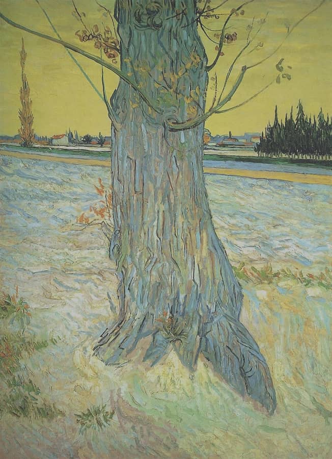 Trunk of an Old Yew Tree, 1888 by Vincent van Gogh