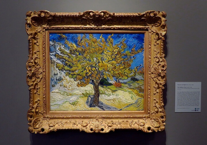 Photo of The Mulberry Tree in Autumn by Vincent Van Gogh