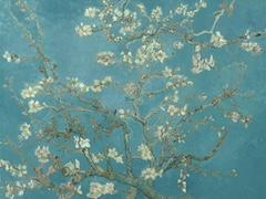 Almond Blossom by Vincent van Gogh