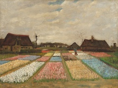 Bulb Fields by Vincent van Gogh