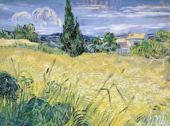 Green Wheat Field with Cypress Tree by Vincent van Gogh