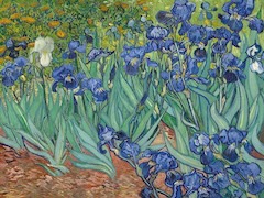 Irises by Vincent van Gogh