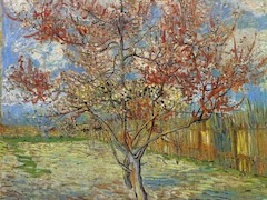 Pink Peach Trees by Vincent van Gogh