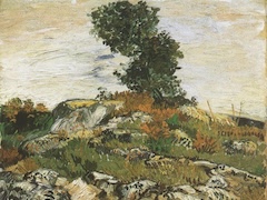 The Rocks by Vincent van Gogh