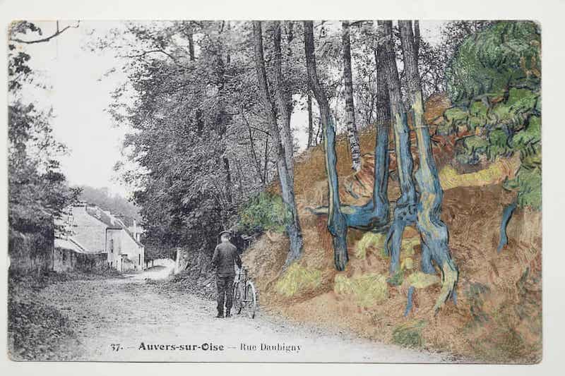 Comparative Study of Tree Roots and Postcard